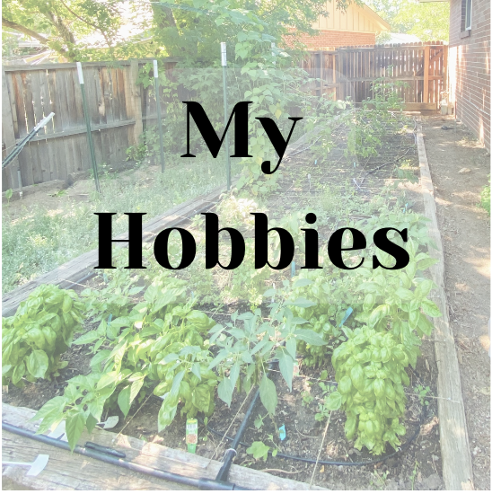 cover photo for hobbies page